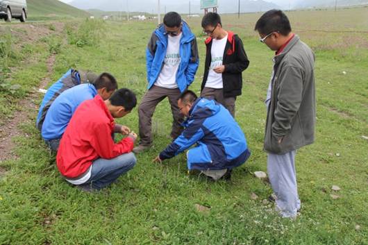 说明: http://gsauvsb.gsau.edu.cn:8080/system/_owners/gsau_cyxy/_webprj/images/14/10/08/5uau50swdu/29D5D17F35787D4503E78F7FE1E3AD5D.jpg