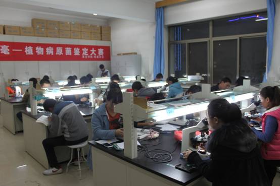 http://gsauvsb.gsau.edu.cn:8080/system/_owners/gsau_cyxy/_webprj/images/15/03/31/36luj3lf3e/67C652BD72845B3AF805EECC07031BC2.jpg